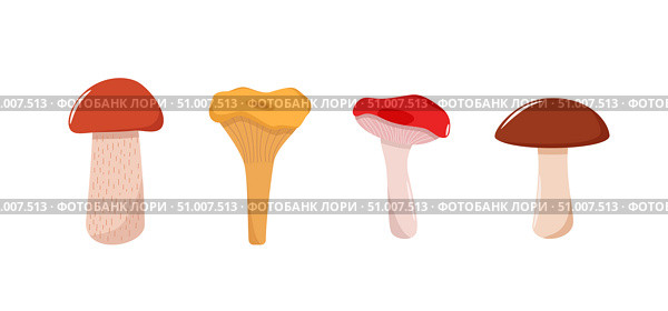 Set of mushroom icons. Illustration of boletus, chanterelles, honey mushrooms, aspen mushroom and russula. Стоковая иллюстрация, иллюстратор Глущенко Елена / Фотобанк Лори