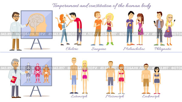 Set temperament of people and constitution of body. Sanguine and choleric, phlegmatic and melancholic, constitution mesomorph and ectomorph, endomorph human illustration. Стоковая иллюстрация, агентство Ingram Publishing / Фотобанк Лори