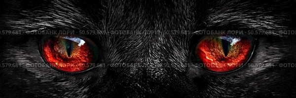 shaggy monster red eyes closeup. Стоковое фото, агентство Ingram Publishing / Фотобанк Лори