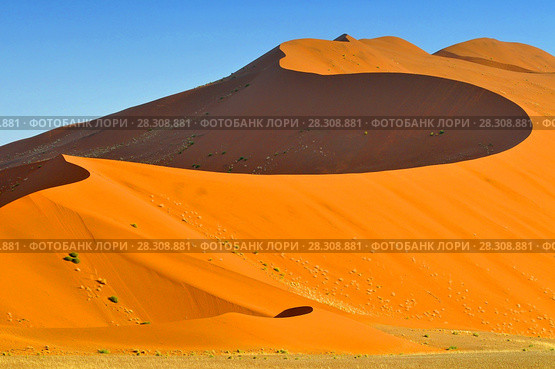 Sharp border of light and shadow over the crest of the dune at sunrise at Sossusvlei Namib Desert, Namib-Naukluft National Park of Namibia. Стоковое фото, агентство BE&W Photo / Фотобанк Лори