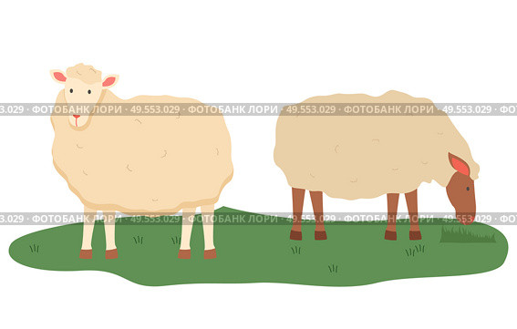 Sheep vector, isolated domestic animals on pasture, farmyard fluff pet breeding and tending, care for fluffy mammals with wool, lamb standing on grass. Sheep on Pasture, Animals Livestock Farming Vector. Стоковая иллюстрация, агентство Ingram Publishing / Фотобанк Лори