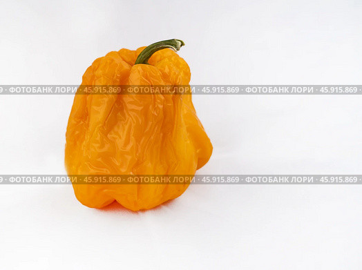 Shriveled fruits of yellow sweet pepper on a white background. There is a place for inserts. Стоковое фото, фотограф Андреева Тамара Викторовна / Фотобанк Лори