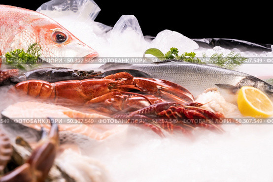 Side view of variety of fresh luxury seafood, Lobster Snapper Crayfish sea bass prawn octopus, on ice background with icy smoke in seafood market with black background. Стоковое фото, агентство Ingram Publishing / Фотобанк Лори