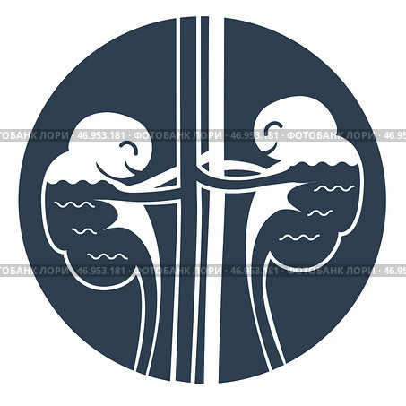 silhouette kidneys with water. Стоковая иллюстрация, иллюстратор Седых Алена / Фотобанк Лори