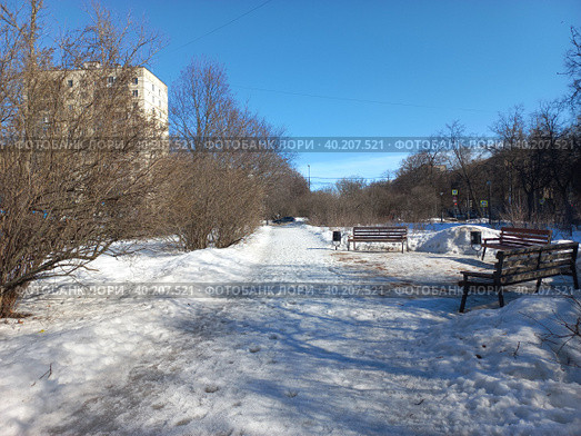 Сиреневый бульвар. Район Измайлово. Город Москва (2023 год). Стоковое фото, фотограф lana1501 / Фотобанк Лори