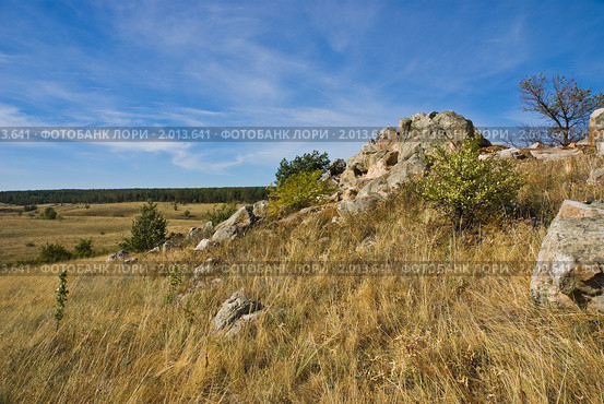 Склон холма с крупными глыбами кварцита. Стоковое фото, фотограф Борис Панасюк / Фотобанк Лори