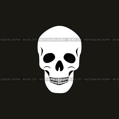 Skull of human organism with teeth, holes eyes and nose, bones types, skeletal system body, head vector illustration isolated on black background. Skull of Human Organism Black Vector Illustration. Стоковая иллюстрация, агентство Ingram Publishing / Фотобанк Лори