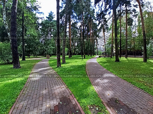 Сквер Марины Цветаевой. Мемориальный дом-музей Марины Цветаевой в Болшеве (2023 год). Редакционное фото, фотограф stargal / Фотобанк Лори