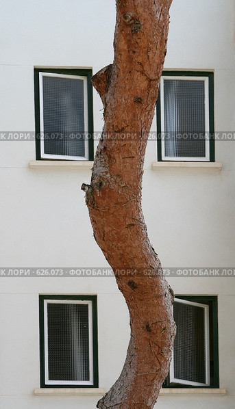 Слалом. Стоковое фото, фотограф Ярослава Синицына / Фотобанк Лори