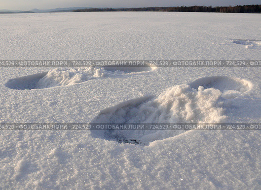 Следы на снегу. Стоковое фото, фотограф Алексей Стоянов / Фотобанк Лори