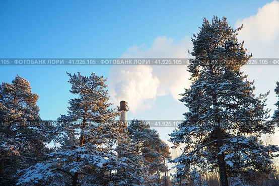 Smoke from a factory chimney. Ecological pollution. Air emissions polluting forest. Industrial waste. Industry metallurgical plant emissions. Smog and bad ecology. Central heating of CHP in winter. Стоковое фото, фотограф Юлия Петровская / Фотобанк Лори