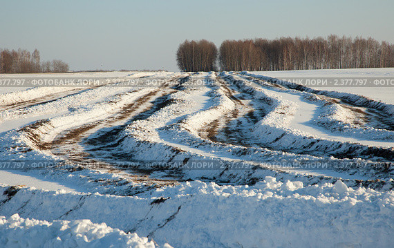 Снежное поле. Стоковое фото, фотограф hunta / Фотобанк Лори