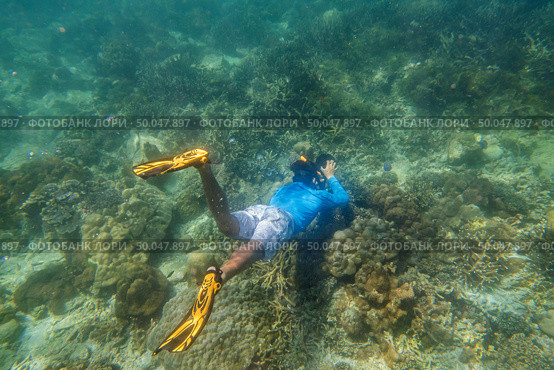 snorkeling diver make a free diving on tropical reef with blue background and reef fish in andaman sea indian ocean Thailand. Стоковое фото, агентство Ingram Publishing / Фотобанк Лори