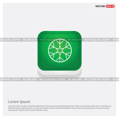 Snow Flake IconGreen Web Button - Free vector icon. Стоковая иллюстрация, агентство Ingram Publishing / Фотобанк Лори