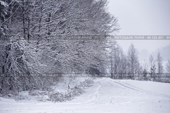Snowfall and sleet on winter road. Ice snowy road. Winter snowstorm. Black ice and blizzard. Стоковое фото, агентство Ingram Publishing / Фотобанк Лори