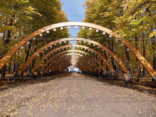 Sokolniki park, sunny autumn day wooden arch (2018 год). Стоковое фото, фотограф Фотограф / Фотобанк Лори