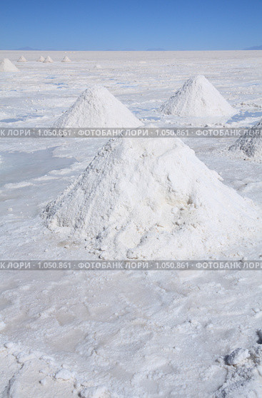 Солончак Уюни ( Salar de Uyuni ) (2009 год). Стоковое фото, фотограф Кирилл Трифонов / Фотобанк Лори