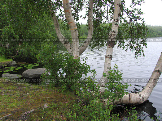 Соловки. Остров Анзер. На берегу Святого озера (2007 год). Редакционное фото, фотограф Т. З. / Фотобанк Лори