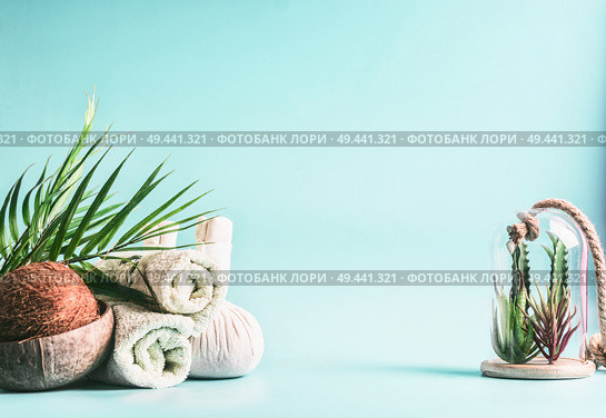 Spa background. Rolled towels, compress balls with coconut, palm leaves and various succulent plants in glass at light blue background. Tropical wellness and spa treatment. Body care concept. Стоковое фото, агентство Ingram Publishing / Фотобанк Лори