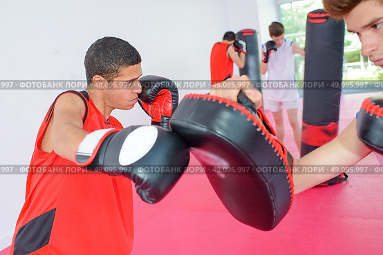 sparring session. Стоковое фото, агентство Ingram Publishing / Фотобанк Лори