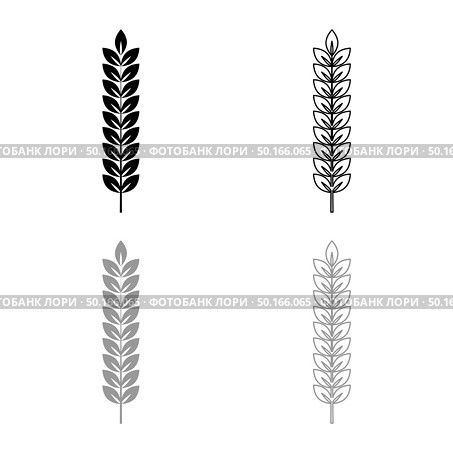 Spikelet of wheat Plant branch icon outline set black grey color vector illustration flat style simple image. Стоковое фото, агентство Ingram Publishing / Фотобанк Лори