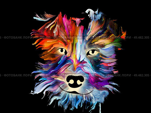 Splash painting of a dog on black background on subject of love, friendship, faithfulness, companionship between dog and man. God bless animals series. Стоковое фото, агентство Ingram Publishing / Фотобанк Лори