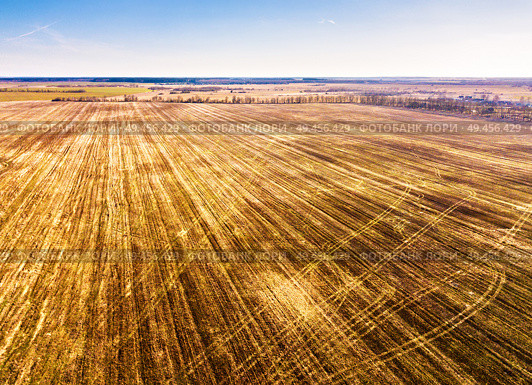 Spring agricultural fields. Dirt rural road and birch alley on background. Winter crops and plowed field. Spring rural aerial landscape. Belarus. Стоковое фото, агентство Ingram Publishing / Фотобанк Лори