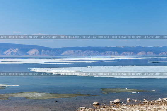 Spring landscape of Baikal Lake in May during ice drift on Small Sea. White ice floes float on blue water, migratory birds have returned from wintering. Changing seasons. Natural background. Spring travels. Стоковое фото, фотограф Виктория Катьянова / Фотобанк Лори