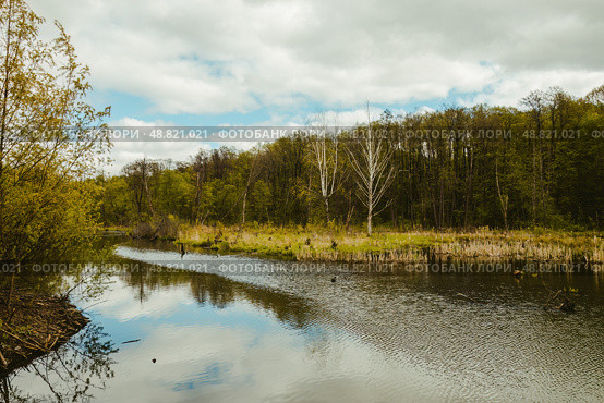 Spring scene with Himka river and forest in Pokrovskoye-Streshnevo park in Moscow. Стоковое фото, фотограф Константин Григорьев / Фотобанк Лори