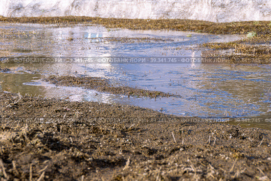 Spring streams from melting snow flow over the surface of the earth due to frozen or faulty drainage and stormwater. Стоковое фото, фотограф Дмитрий Коростылев / Фотобанк Лори