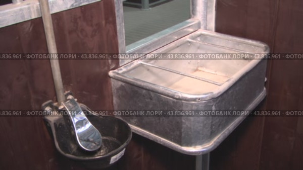 Stable, horse stall. food device  конюшня, стойло лошади. приспособление для еды. Стоковое видео, видеограф Опока Алексей / Фотобанк Лори
