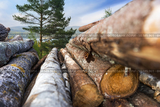 stack of tree trunks, with scandinavian forest landscape in background. Стоковое фото, агентство Ingram Publishing / Фотобанк Лори