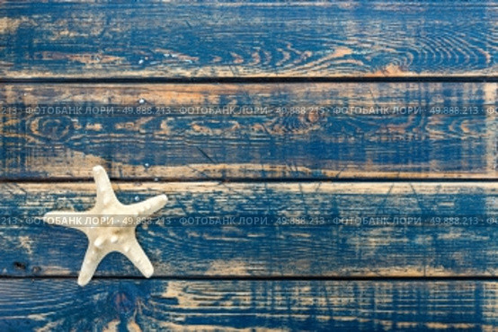 starfish. Стоковое фото, агентство Ingram Publishing / Фотобанк Лори