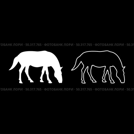 Steed Horse Equestrian Equine Stallion thoroughbred Mustang silhouette white color vector illustration solid outline style simple image. Steed Horse Equestrian Equine Stallion thoroughbred Mustang silhouette white color vector illustration solid outline style image. Стоковая иллюстрация, агентство Ingram Publishing / Фотобанк Лори