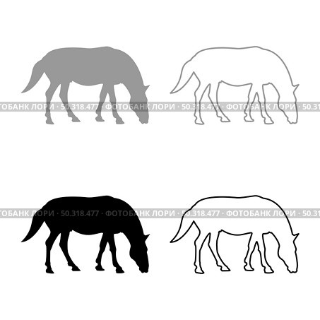 Steed Horse Equestrian Equine Stallion thoroughbred Mustang silhouette grey black color vector illustration solid outline style simple image. Steed Horse Equestrian Equine Stallion thoroughbred Mustang silhouette grey black color vector illustration solid outline style image. Стоковая иллюстрация, агентство Ingram Publishing / Фотобанк Лори