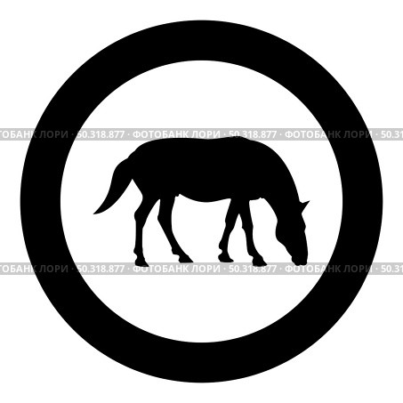 Steed Horse Equestrian Equine Stallion thoroughbred Mustang silhouette in circle round black color vector illustration solid outline style simple image. Steed Horse Equestrian Equine Stallion thoroughbred Mustang silhouette in circle round black color vector illustration solid outline style image. Стоковая иллюстрация, агентство Ingram Publishing / Фотобанк Лори