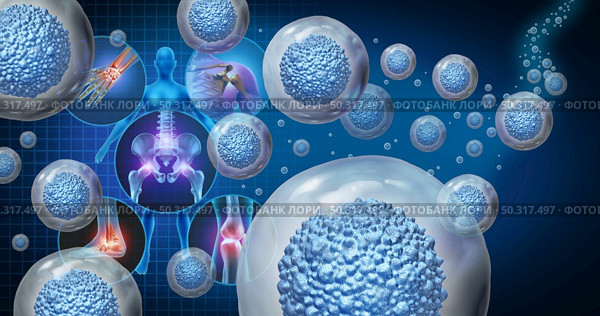 Stem cell therapy and treatment for painful joints as multicellular organisms for cellular treatment of injury or arthritis illness due to aging or sports and work with 3D illustration elements. Стоковое фото, агентство Ingram Publishing / Фотобанк Лори
