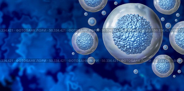 Stem cells as multicellular organisms for cellular treatment as a 3D illustration. Стоковое фото, агентство Ingram Publishing / Фотобанк Лори