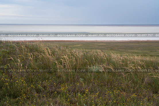 Steppe grasses on the slopes of Bolshoe Bogdo Mountain and the salt lake Baskunchak in the distance on a summer day, Bogdinsko-Baskunchak Nature Reserve, Akhtubinsky district, Astrakhan region, Russia. Стоковое фото, фотограф Ula Ulachka / Фотобанк Лори