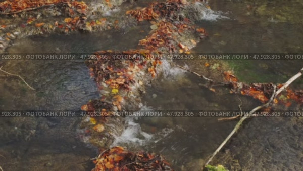 Stream flow between stones with moss. Стоковое видео, видеограф Михаил Коханчиков / Фотобанк Лори