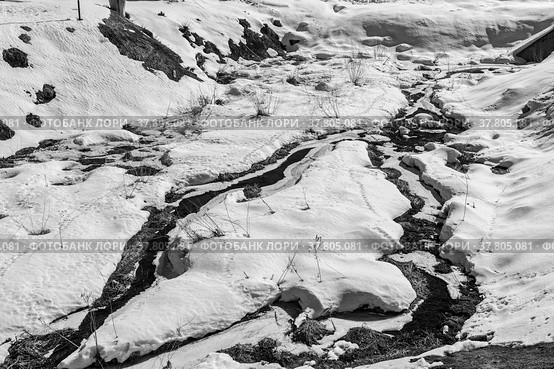 Streams running through snowdrifts. Black and white contrast photo. Стоковое фото, фотограф Yuriy Savin / Фотобанк Лори