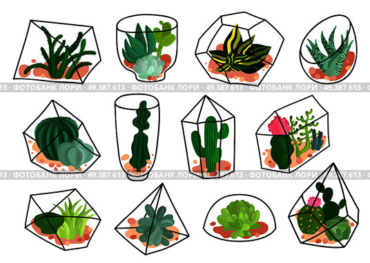 Succulents plants cacti decorative compositions in geometric transparent florariums containers flat icons set isolated vector illustration  . Cacti Succulents Geometric Florariums Set. Стоковая иллюстрация, агентство Ingram Publishing / Фотобанк Лори