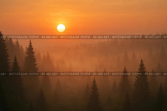 Sunrise over the forest in the fog. Стоковое AI-изображение, AI-художник Анастасия / Фотобанк Лори
