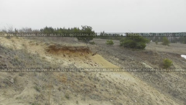 Сурок байбак около своей норы. Стоковое видео, видеограф Александр Мамонтов / Фотобанк Лори