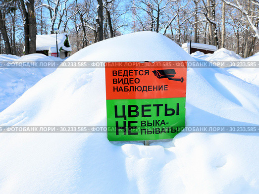 Табличка на занесенном снегом  газоне "Ведется видеонаблюдение. Цветы не выкапывать!" (2019 год). Стоковое фото, фотограф Светлана Кириллова / Фотобанк Лори