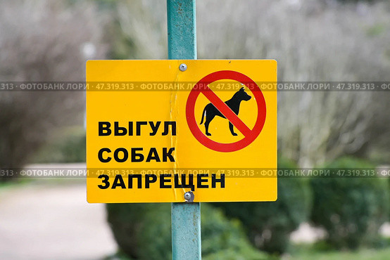 Табличка "Выгул собак запрещён" в парке. Стоковое фото, фотограф Snezka / Фотобанк Лори