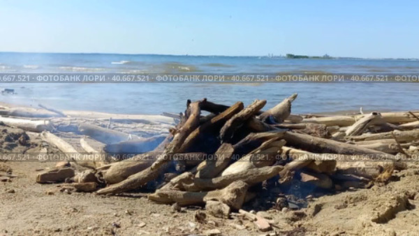 Таймлапс костра крупным планом на берегу реки. Close-up Campfire on the River Shore. Стоковое видео, видеограф Anna Shtrekalkina / Фотобанк Лори