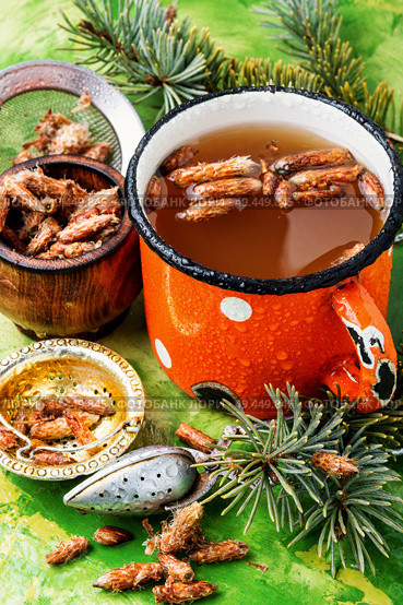Tea with pine buds for treating colds.Pine buds.Herbal medicine. Tea with pine buds. Стоковое фото, агентство Ingram Publishing / Фотобанк Лори