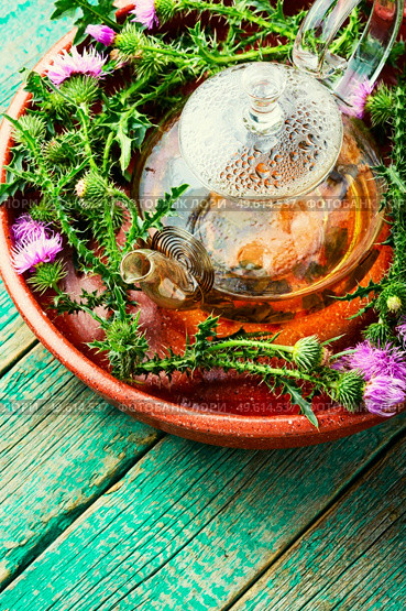 Teapot with medicinal wild herbal tea.Milk thistle or Silybum marianum in in herbal medicine. Thistle in herbal medicine. Стоковое фото, агентство Ingram Publishing / Фотобанк Лори
