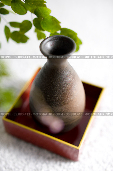 Thalictrum rochebrunianum and Sake bottle. Стоковое фото, агентство Ingram Publishing / Фотобанк Лори